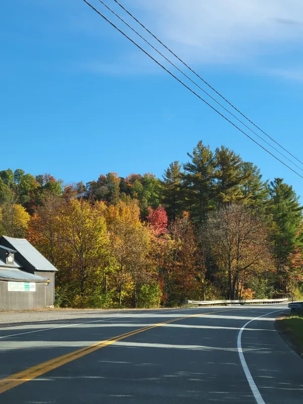 Morrisville Used Auto - photo 3