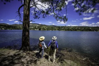 Lake Roberts