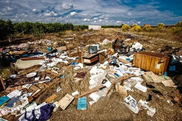Mann's Junk Removal - photo 4
