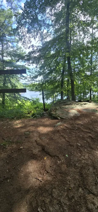 Camp Green Eyrie