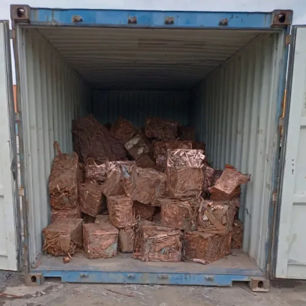 Recycler Holdings - photo 3