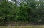 Broussard's Auto Sales-Salvage