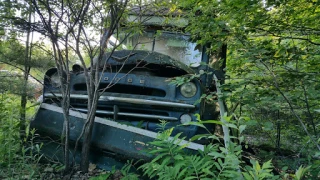 Fore Recycling JunkYard in Gulfport (MS) - photo 2