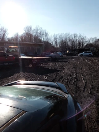 Posey's Auto Wrecking JunkYard in Huntington (WV) - photo 4