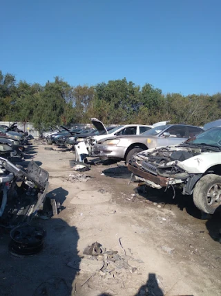 LKQ Pick Your Part - Houston Wallisville JunkYard in Houston (TX) - photo 3