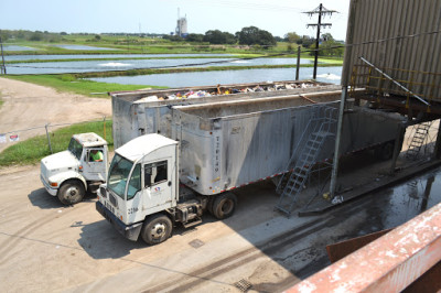 Texas Disposal Systems San Angelo JunkYard in San Angelo (TX) - photo 1