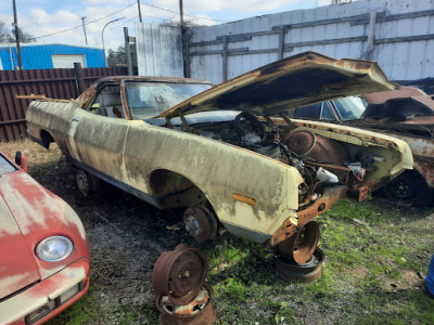 Conroe Auto Recycling JunkYard in Conroe (TX) - photo 1