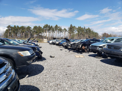 Wilbert's U-Pull It of Buffalo JunkYard in Amherst Township (NY) - photo 3