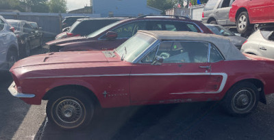 Cash 4 Cars JunkYard in New York (NY) - photo 4