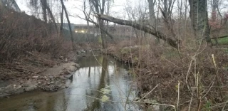 Brookfield Scrap JunkYard in Elmsford (NY) - photo 3