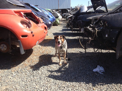 Dave´s Auto Parts Wrecking San Diego JunkYard in San Diego (CA) - photo 1