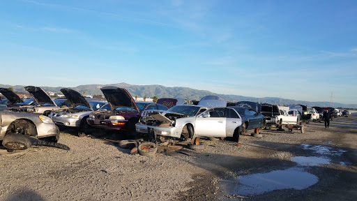 Pick-n-Pull JunkYard in Newark (CA)